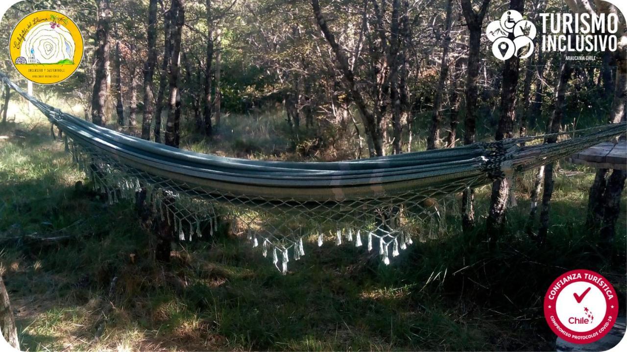 Domo Lodge Calafates del Llaima Conguillío Exterior foto